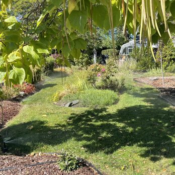 Lawn & Order - a view of a garden - Lawn Services Near Me Lawn & Order - a view of a garden - Lawn Services Near Me