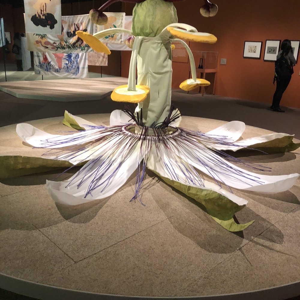 Wellcome Collection - Museums Near Me - London, XGL