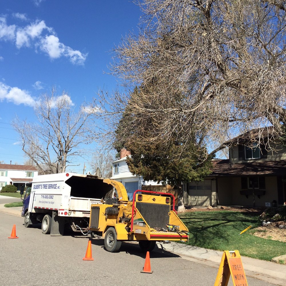 Gilbert's Tree & Landscape - Gilbert's Tree Service - Safe and highly recommended - Tree Services Near Me - Fountain, Colorado Gilbert's Tree & Landscape - Gilbert's Tree Service - Safe and highly recommended - Tree Services Near Me - Fountain, Colorado