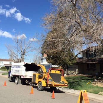 Gilbert's Tree & Landscape - Gilbert's Tree Service - Safe and highly recommended - Tree Services Near Me - Fountain, Colorado Gilbert's Tree & Landscape - Gilbert's Tree Service - Safe and highly recommended - Tree Services Near Me - Fountain, Colorado