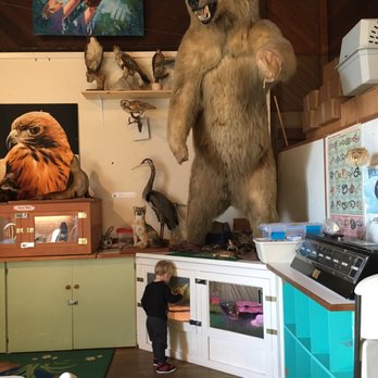 WildCare - Animal Shelters Near Me - San Rafael, California
