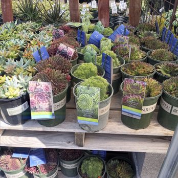 Green Acres Nursery & Supply - Nurseries & Gardening Near Me - Folsom, California Green Acres Nursery & Supply - Nurseries & Gardening Near Me - Folsom, California