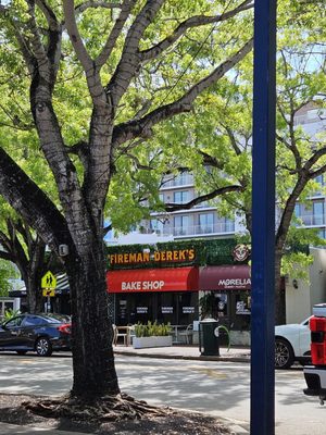 Coconut Grove by null