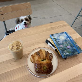 Bird Dog Coffee - Iced scout, pastries from Le Saint, and my dog Oreo - Coffee & Tea Near Me - Laguna Hills, California