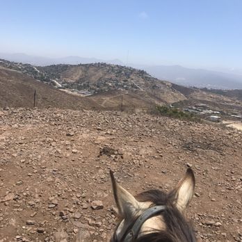 Desert Trails - Loving it - Horseback Riding Near Me - Ensenada, BCN