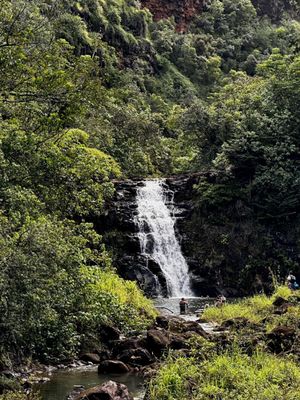 Waimea Valley by null