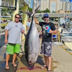Rebel Sportfishing - 265lbs big eye tuna caught on overnight offshore fishing charter off coast of Virginia Beach.  Took angler 1hr 52mins to reel in