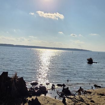 Goose Creek State Park - Parks Near Me - Washington, North Carolina