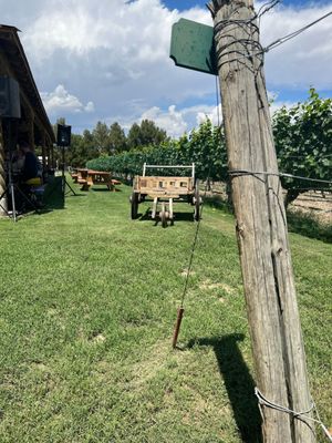 Zin Valle Vineyards by null