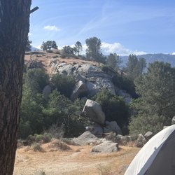 Sandy Flat Campground - Cow off in the distance