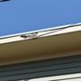 Photo of Bannister Custom Exteriors