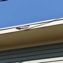 Bannister Custom Exteriors