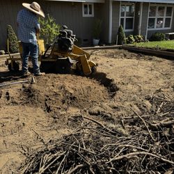Shipman Tree Service - New tree man grinding stump