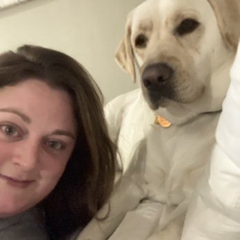 All Dogs Unleashed - Pet Training Near Me - Carrollton, Texas All Dogs Unleashed - Pet Training Near Me - Carrollton, Texas