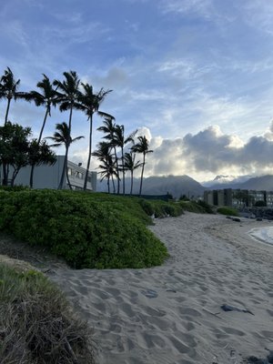 Maui Beach Hotel by null