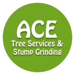 Ace Tree Services & Stump Grinding