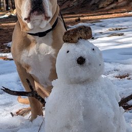 Our pup clean and smelling winter fresh Our pup clean and smelling winter fresh