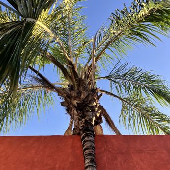 Casa de las Palomas - Hotels Near Me - Mérida, YUC