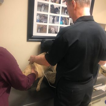 Baze Chiropractic - Chiropractors Near Me - Renton, Washington