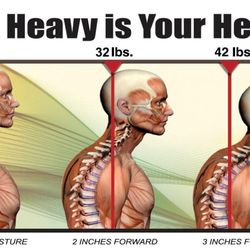 Phillip Pinto, DC - SCV Wellness Clinic - Have "Tech neck"? we treat, call us.
