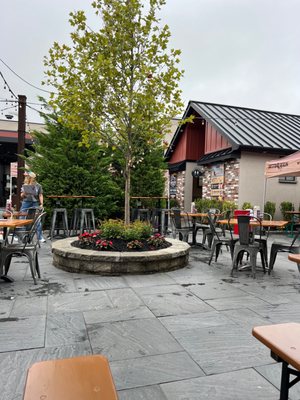 MudHen Brewing Company by null