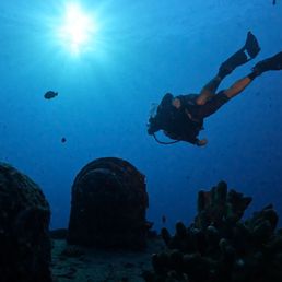 Best DM ever. The entire crew made this dive the best. Mahalo to all.... Darryl