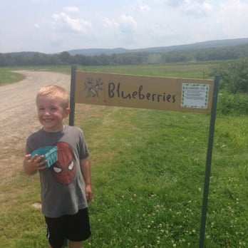 Kelder's Farm - Blueberry picking - Pick Your Own Farms Near Me - Kerhonkson, New York Kelder's Farm - Blueberry picking - Pick Your Own Farms Near Me - Kerhonkson, New York