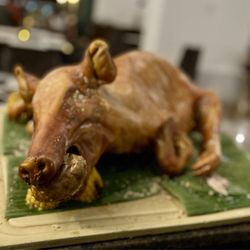 Arrecifes - Pig