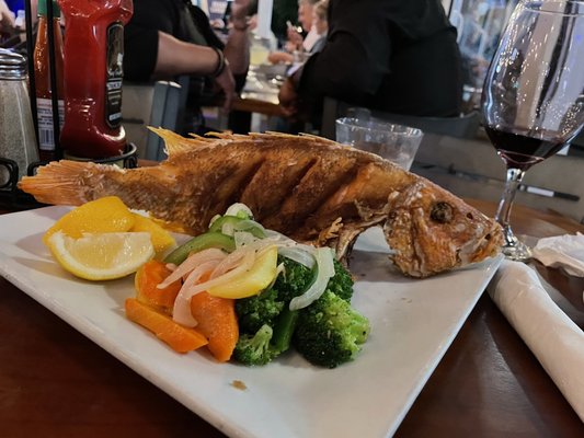 Catch of the Day by null