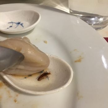 Dumplings & Beyond - A cockroach that was stuck to the soup dumpling. We onlyyyy found it because it caused two to be stuck together - Chinese Near Me - Washington, DC, District of Columbia