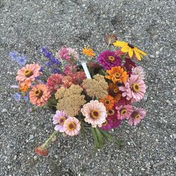 Heirloom Acres Farm - Take home flowers!