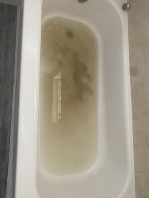 Cottage Cove by null