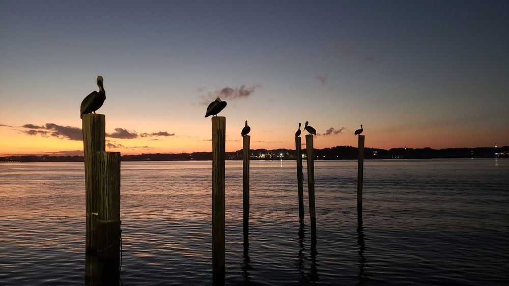 Singleton's Seafood Shack