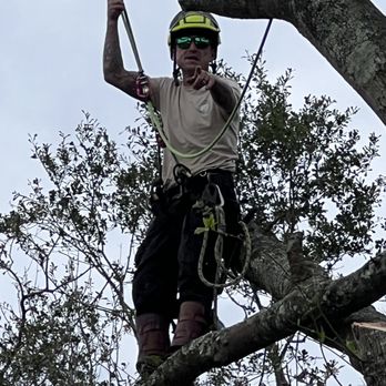 New Horizons Tree Service - Tree Services Near Me New Horizons Tree Service - Tree Services Near Me