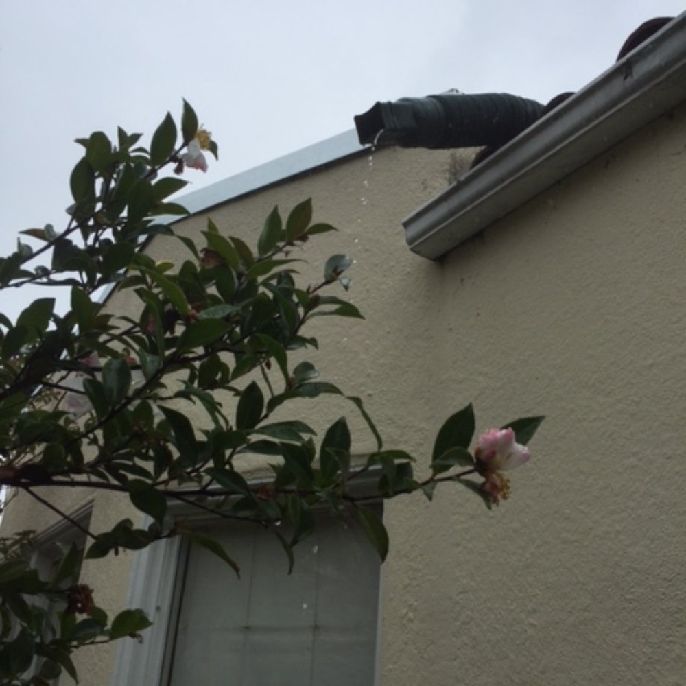 "custom drainage" (i.e. $10 plastic downspout extender) installed by Ideal Roofing. I'm still waiting for the job to be finished to specs.