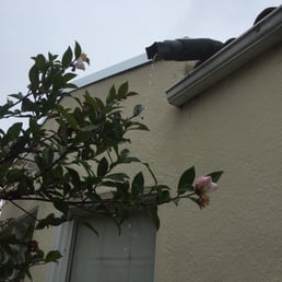 "custom drainage" (i.e. $10 plastic downspout extender) installed by Ideal Roofing. I'm still waiting for the job to be finished to specs. "custom drainage" (i.e. $10 plastic downspout extender) installed by Ideal Roofing. I'm still waiting for the job to be finished to specs.