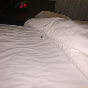 Residence Inn Fort Wayne - Roach crawling on me in the bed - Hotels Near Me - Fort Wayne, Indiana