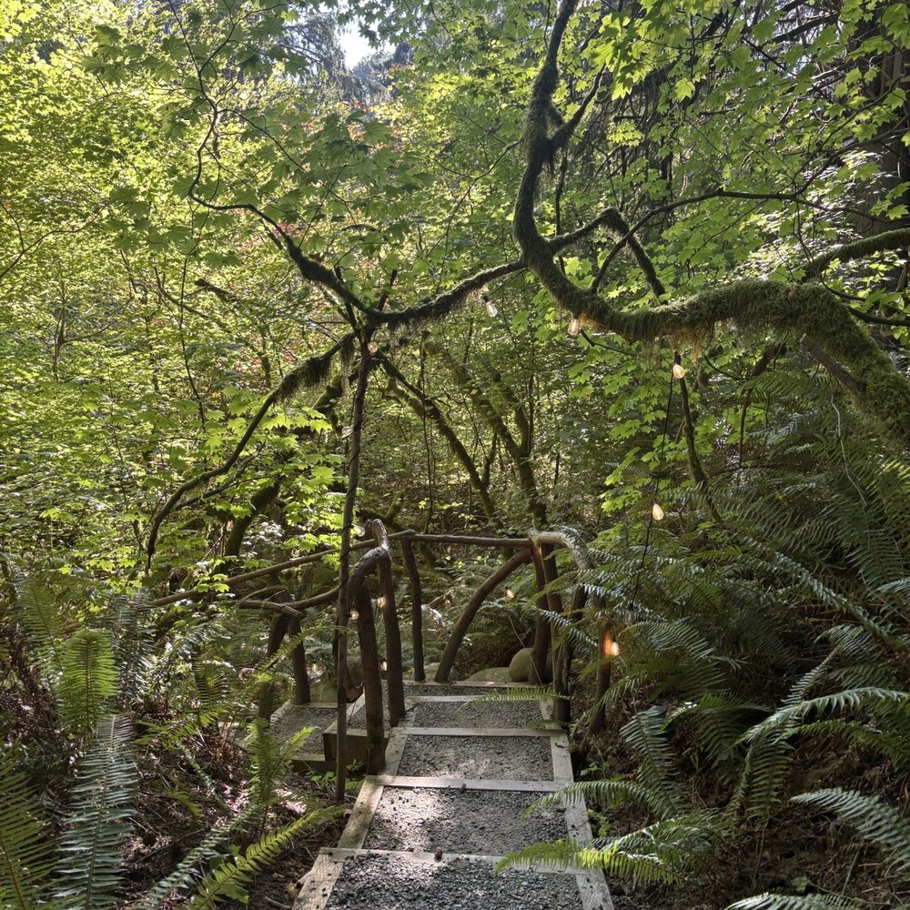 TreeHouse Point - Path - Bed & Breakfast Near Me - Issaquah, Washington TreeHouse Point - Path - Bed & Breakfast Near Me - Issaquah, Washington