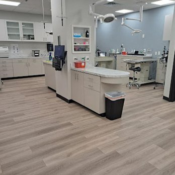 River Oak Vet - Veterinarians Near Me - Simpsonville, South Carolina River Oak Vet - Veterinarians Near Me - Simpsonville, South Carolina