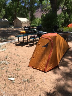 Up the Creek Campground by null