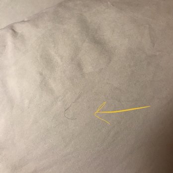 Motel 6 - Random hair on sheets (so gross) - Hotels Near Me - Buellton, California