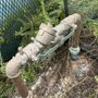 Photo of Plumbquest