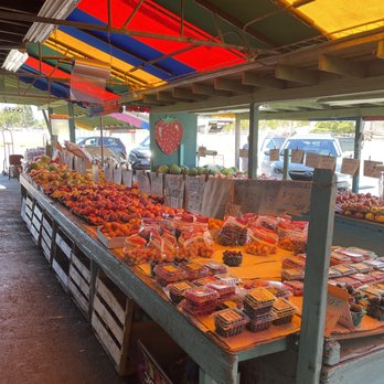 Sonoma Valley Fruit Basket - Vertical shot - Fruits & Veggies Near Me - Sonoma, California Sonoma Valley Fruit Basket - Vertical shot - Fruits & Veggies Near Me - Sonoma, California