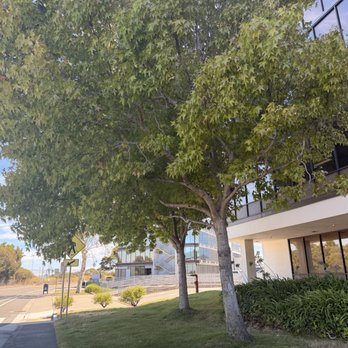 Summit Defense - DUI Law Near Me - Burlingame, California Summit Defense - DUI Law Near Me - Burlingame, California