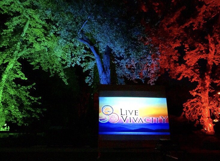 LiveVivacity Logo