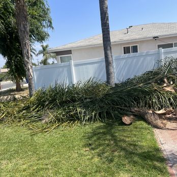 Duarte’s Junk Removal - Junk Removal & Hauling Near Me Duarte’s Junk Removal - Junk Removal & Hauling Near Me