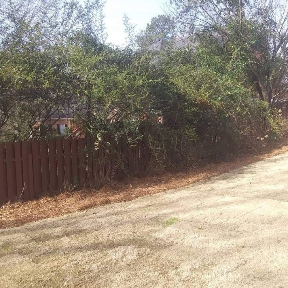 ALL MEADOWS LAWN CARE 18 Photos Augusta, Landscaping Phone Number Yelp