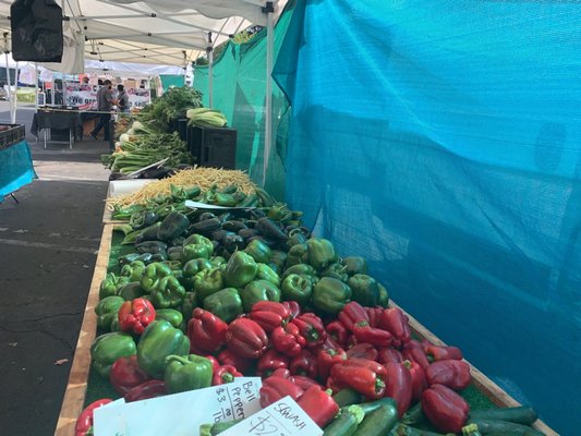 Galleria @ Tyler Farmers Market by null
