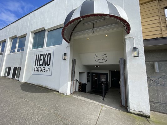 NEKO Cat Cafe Bellingham by null