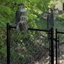 Photo of Top Notch Fence